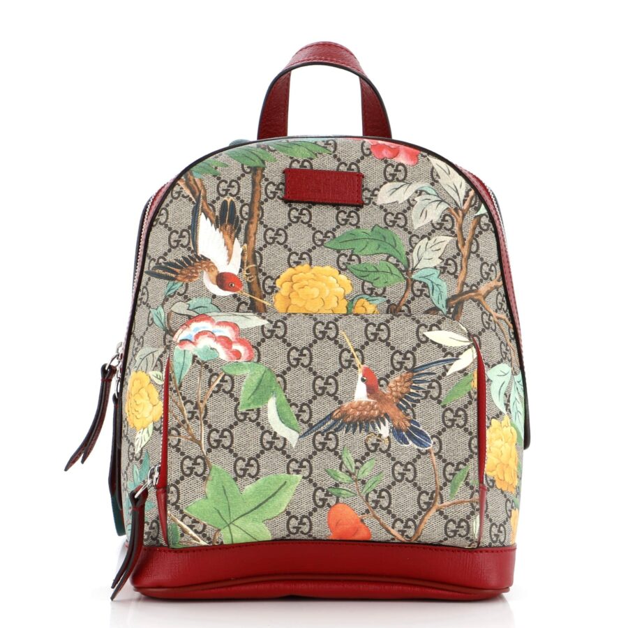 Designer Backpack bag – front view